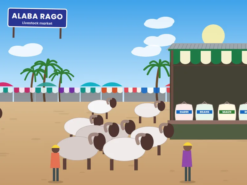 Alaba Rago Market — Rams, goats & livestock